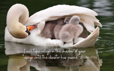 Hide me Now, under Your Wings