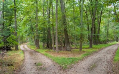 That the World may choose the better path!!