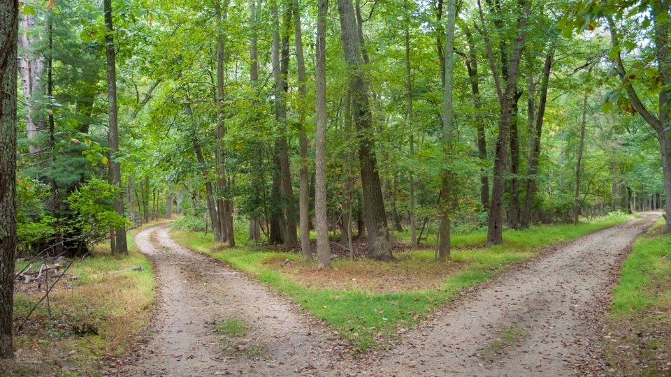 That the World may choose the better path!!